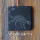 Z* Sous-verres fossiles