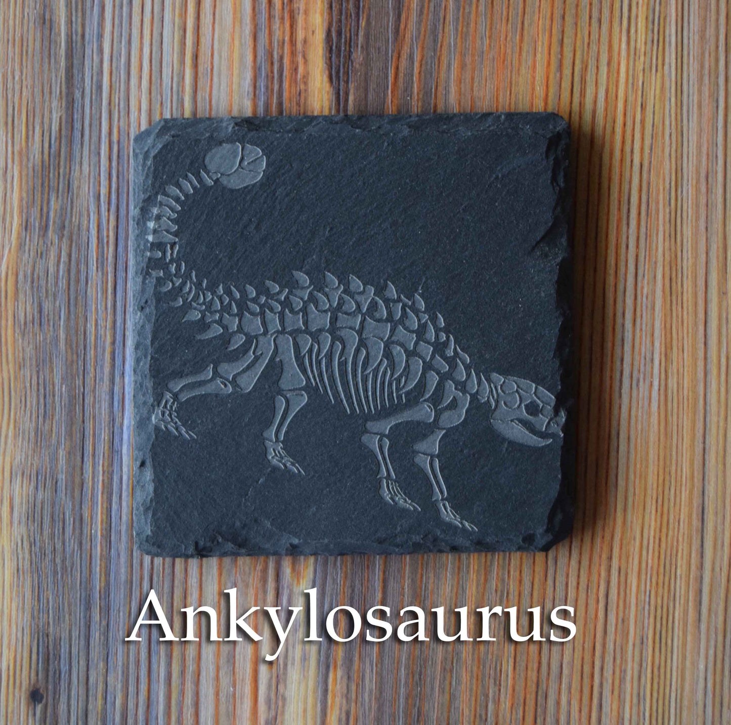 Z* Sous-verres fossiles