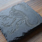 Z* Sous-verres fossiles