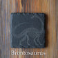 Z* Sous-verres fossiles