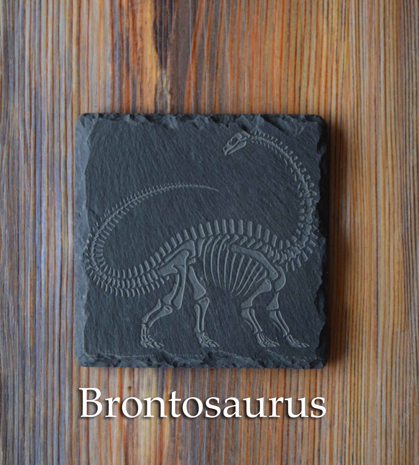 Z* Sous-verres fossiles