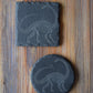 Z* Sous-verres fossiles