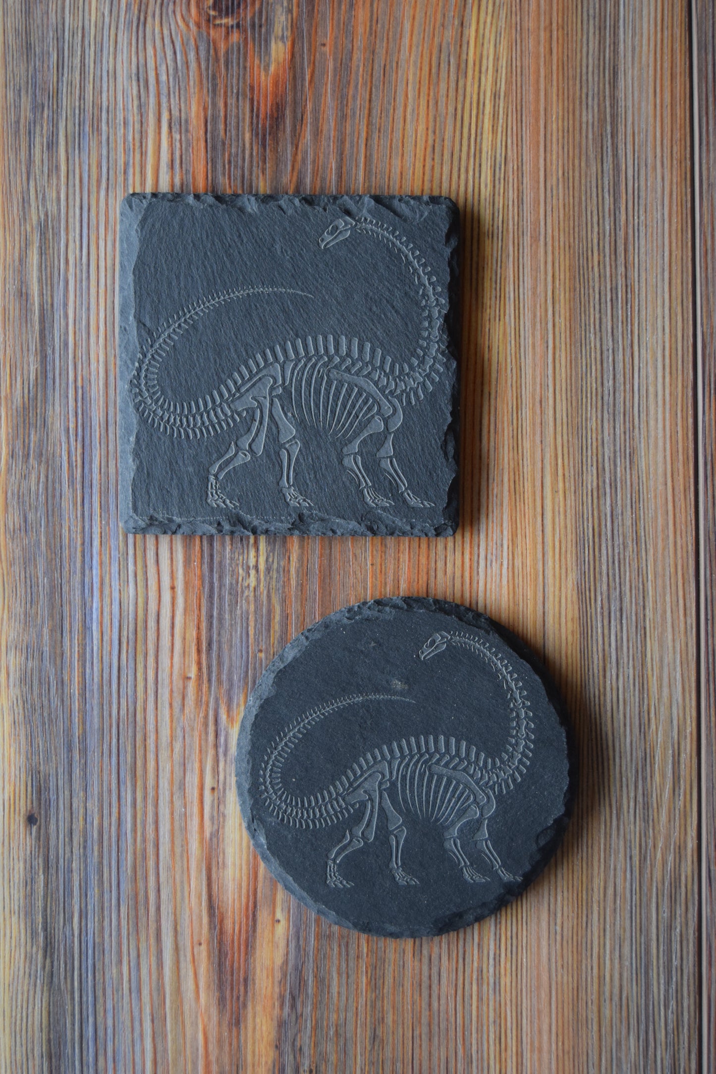 Z* Sous-verres fossiles