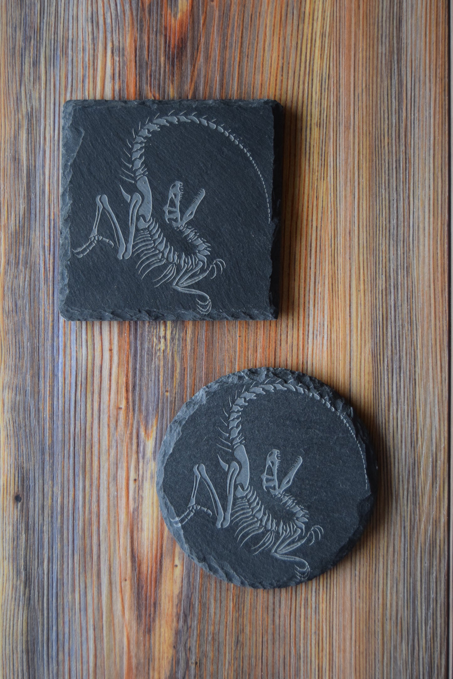 Z* Sous-verres fossiles