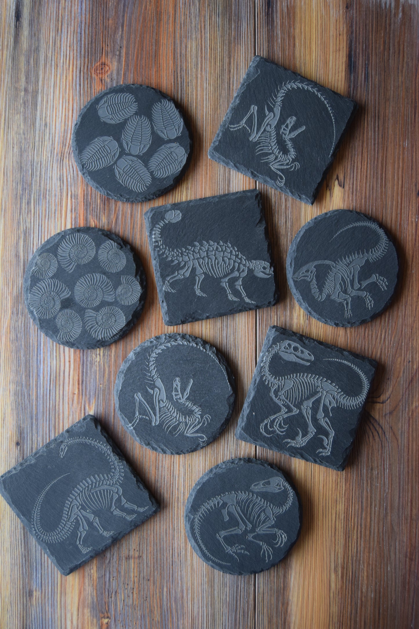 Z* Sous-verres fossiles