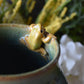 *Modèle de vase