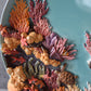 Kelsey Schroeder- Coral Reef Plate