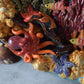 Kelsey Schroeder- Coral Reef Plate