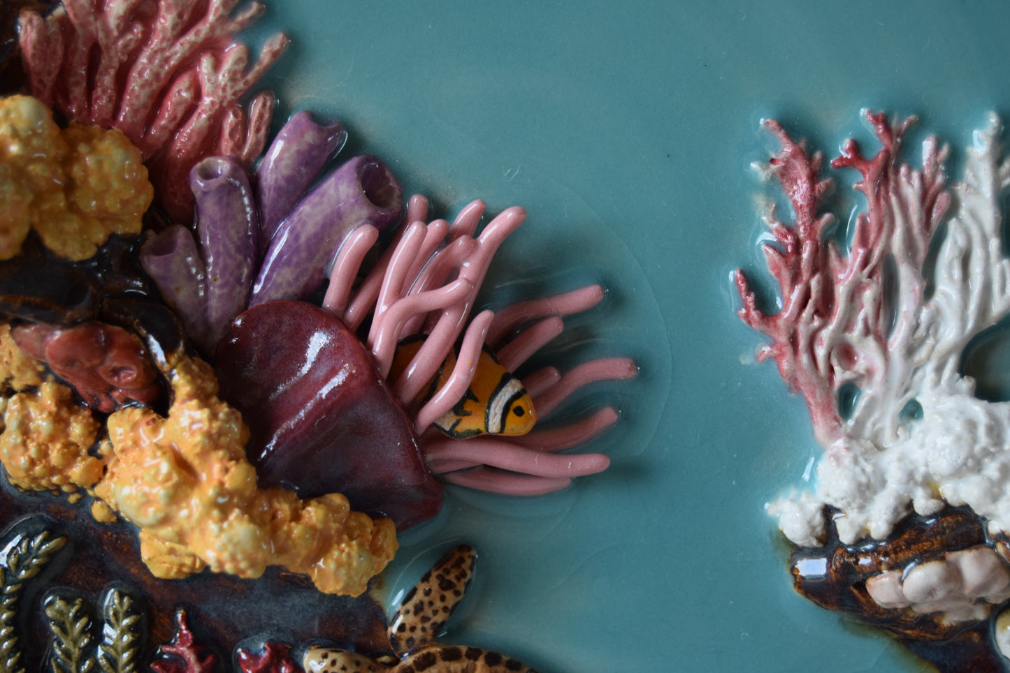 Kelsey Schroeder- Coral Reef Plate