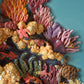 Kelsey Schroeder- Coral Reef Plate