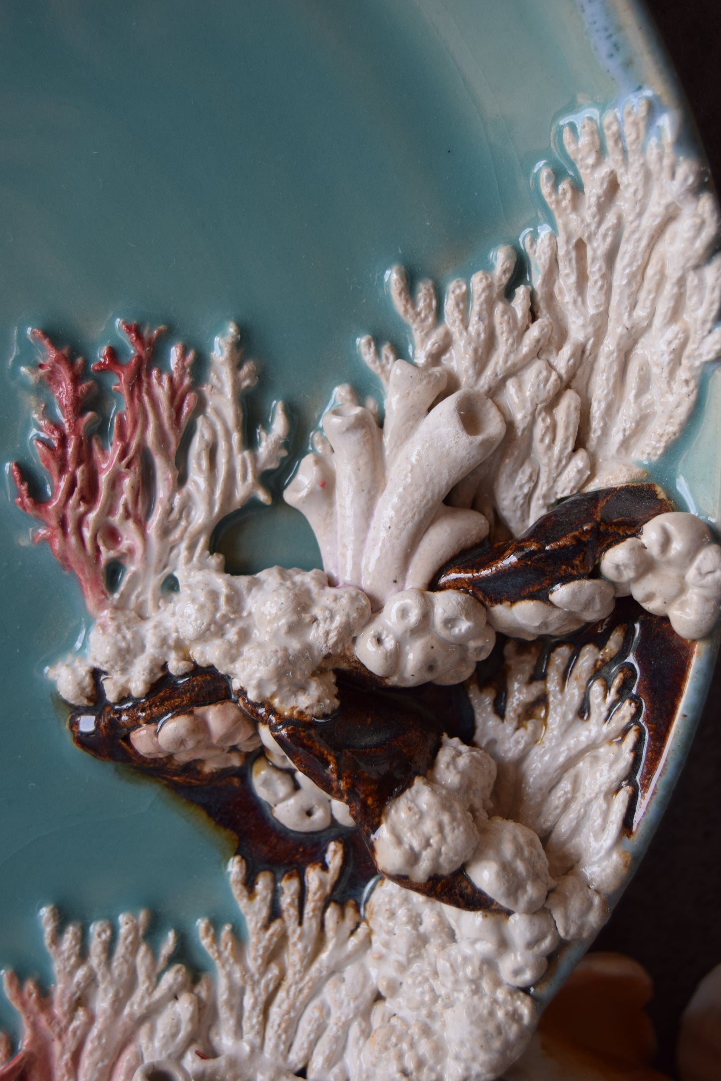 Kelsey Schroeder- Coral Reef Plate