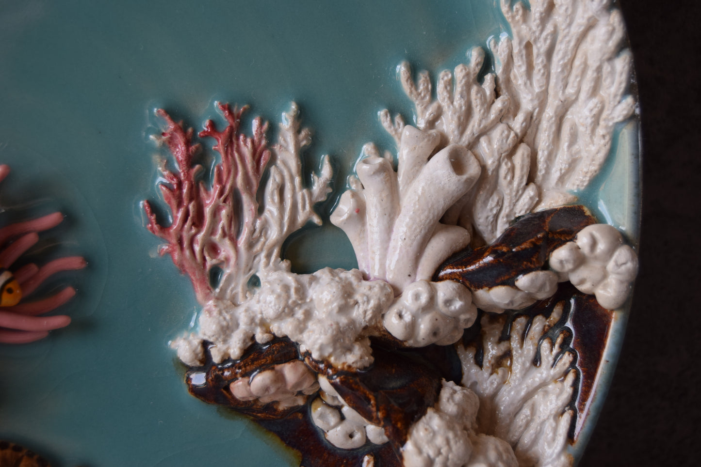 Kelsey Schroeder- Coral Reef Plate