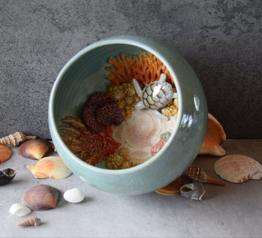 Kelsey Schroeder- White Sea Turtle Bowl