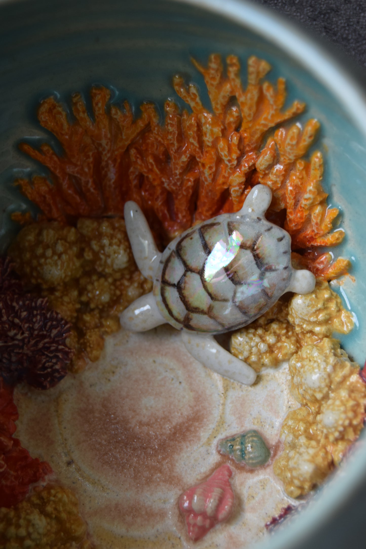 Kelsey Schroeder- White Sea Turtle Bowl