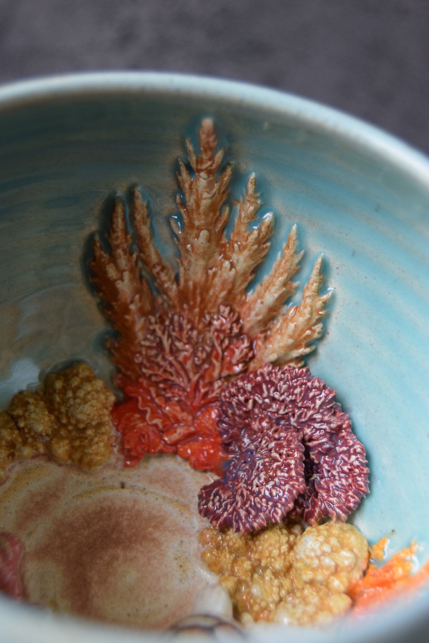 Kelsey Schroeder- White Sea Turtle Bowl