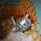 Kelsey Schroeder- White Sea Turtle Bowl