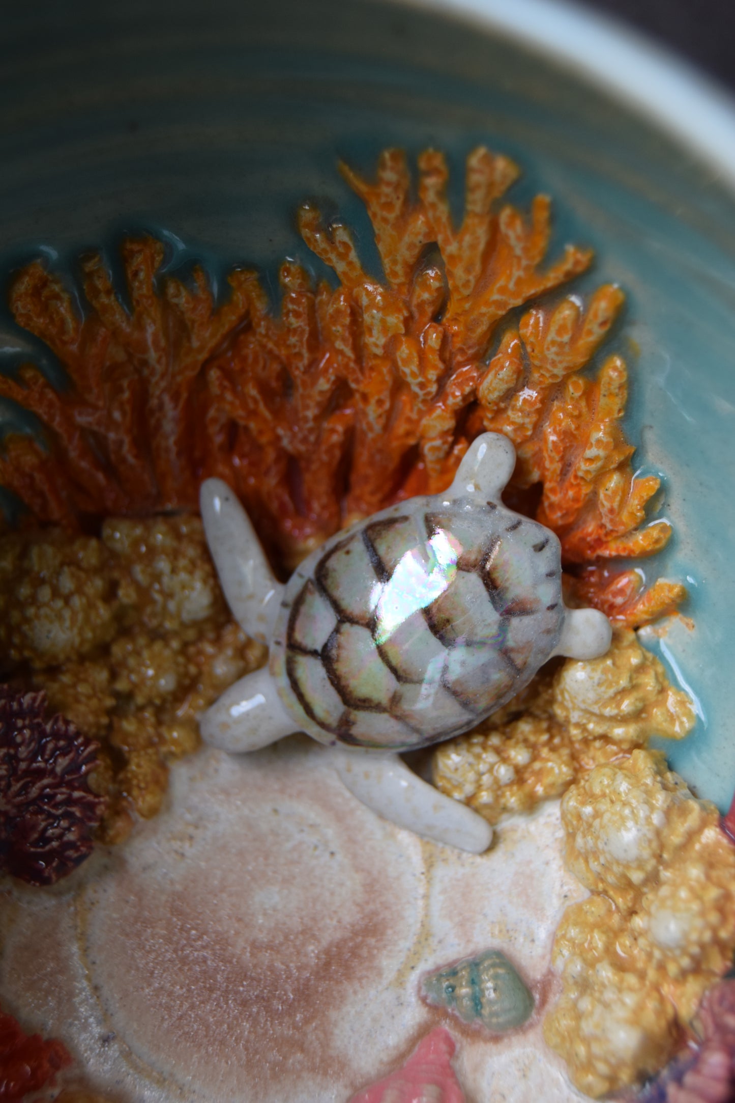 Kelsey Schroeder- White Sea Turtle Bowl