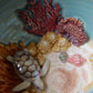 Kelsey Schroeder- White Sea Turtle Bowl