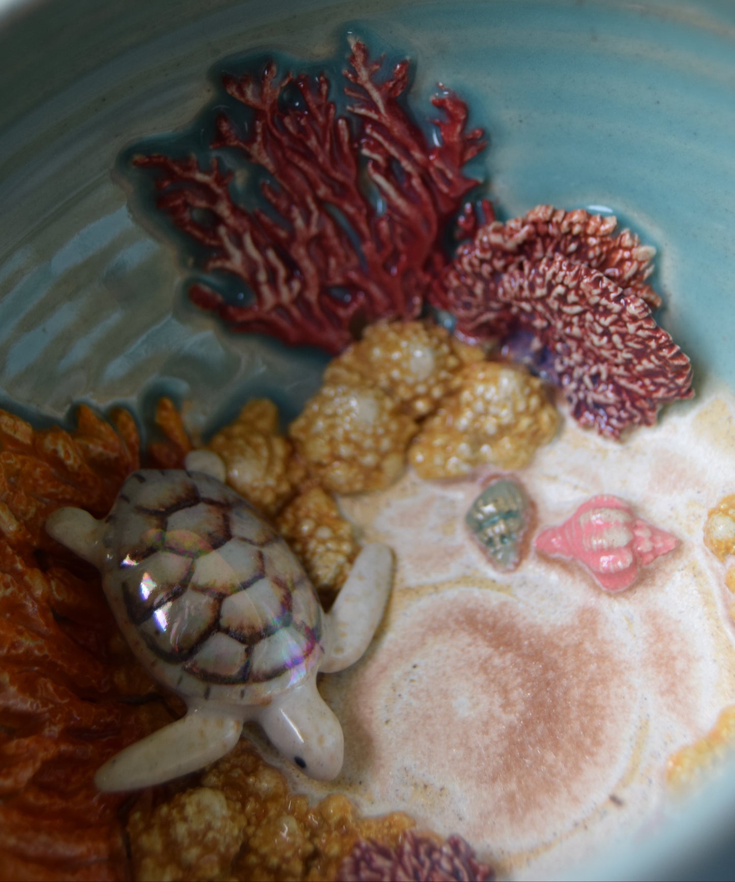Kelsey Schroeder- White Sea Turtle Bowl