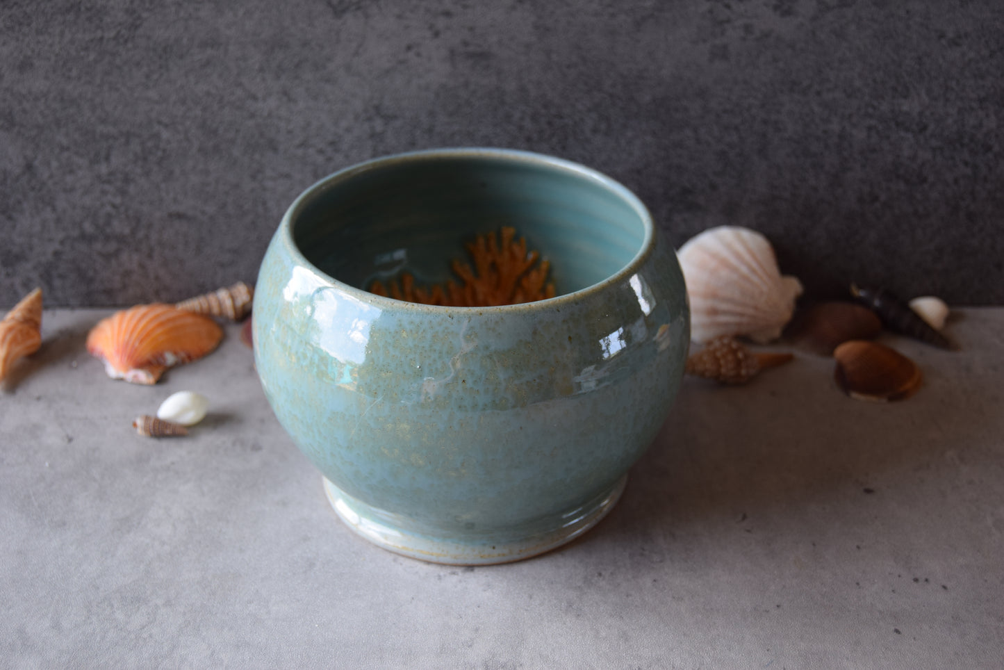 Kelsey Schroeder- White Sea Turtle Bowl