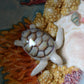 Kelsey Schroeder- White Sea Turtle Bowl