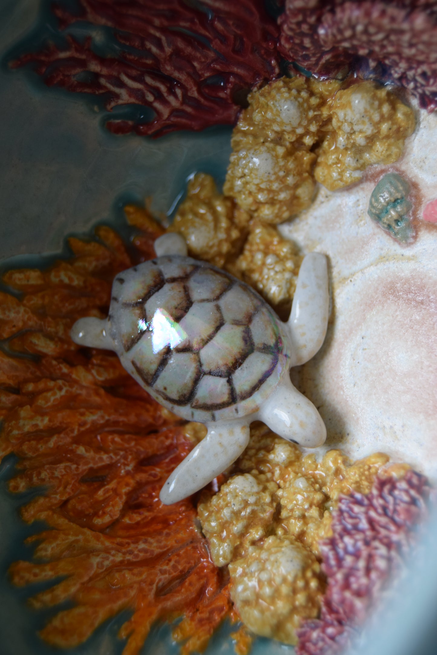 Kelsey Schroeder- White Sea Turtle Bowl