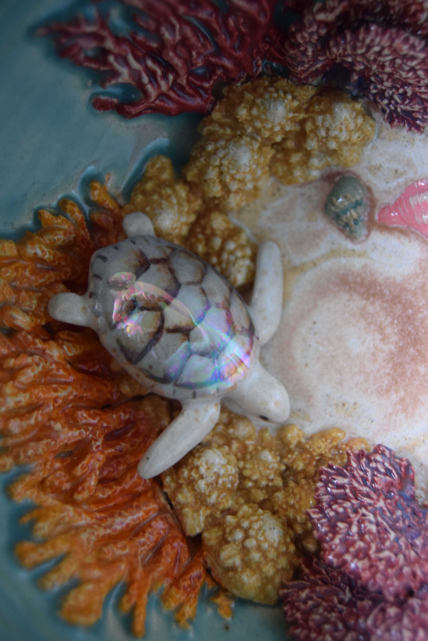 Kelsey Schroeder- White Sea Turtle Bowl
