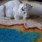 Kelsey Schroeder- White Bison Plate