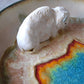 Kelsey Schroeder- White Bison Plate