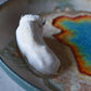 Kelsey Schroeder- White Bison Plate