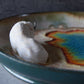 Kelsey Schroeder- White Bison Plate