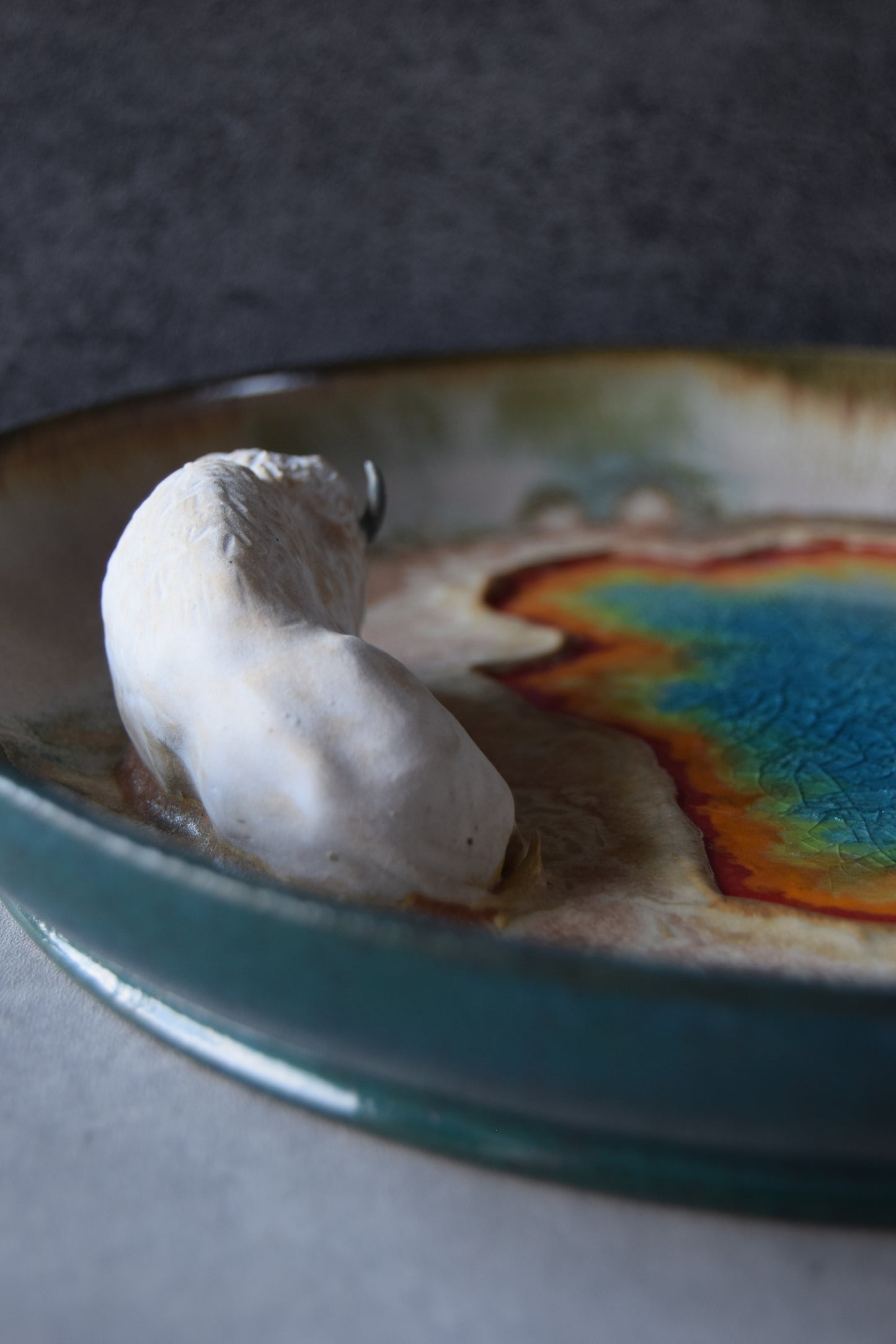 Kelsey Schroeder- White Bison Plate