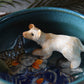 Kelsey Schroeder- Spirit Bear Bowl