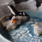 Penguin Trinket Plate