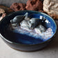 Harbor Seals Trinket Plate