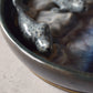 Harbor Seals Trinket Plate