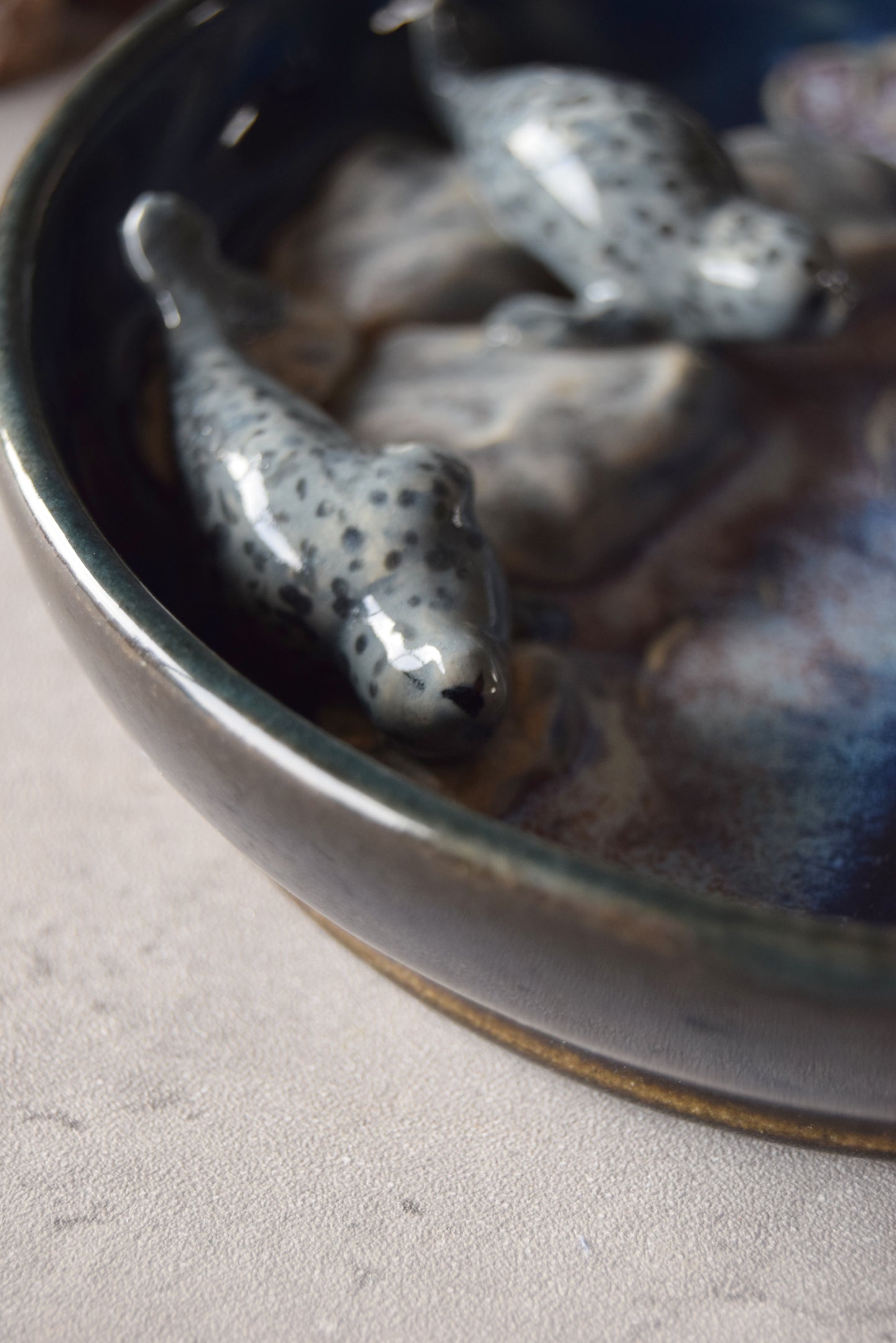 Harbor Seals Trinket Plate
