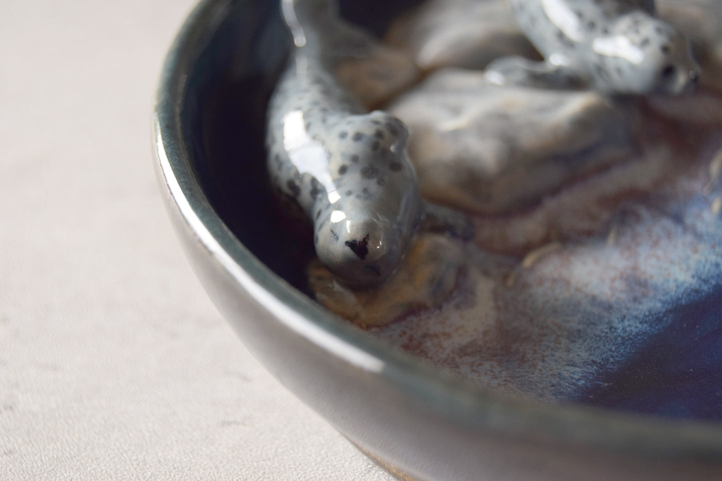 Harbor Seals Trinket Plate