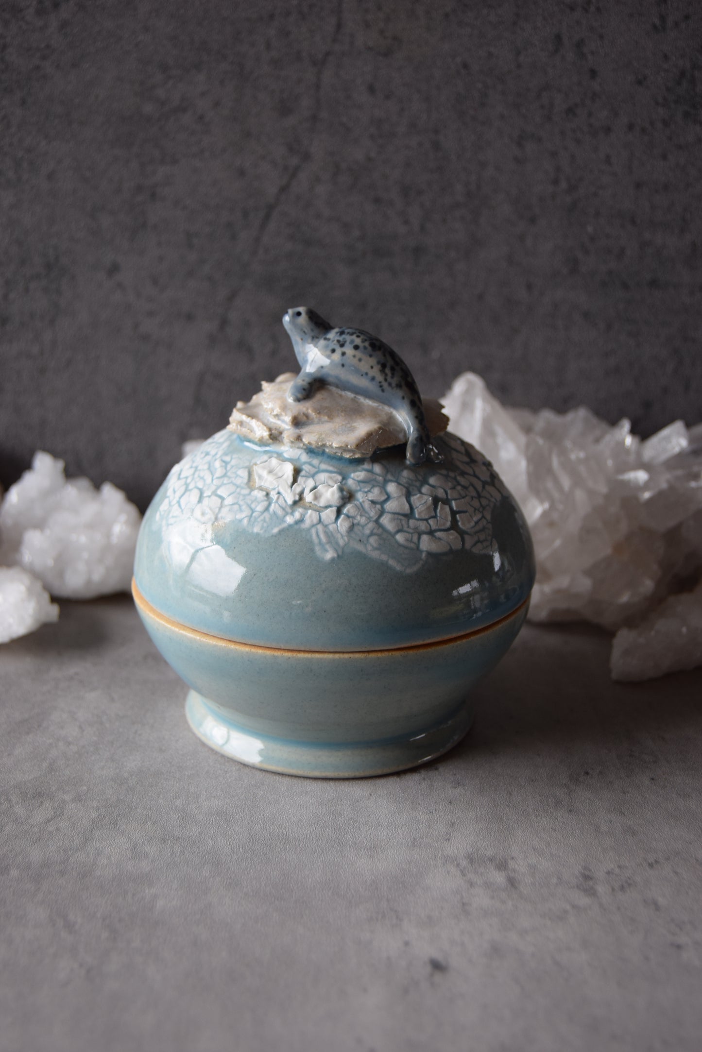 Seal and Orcas Jar (seconds)