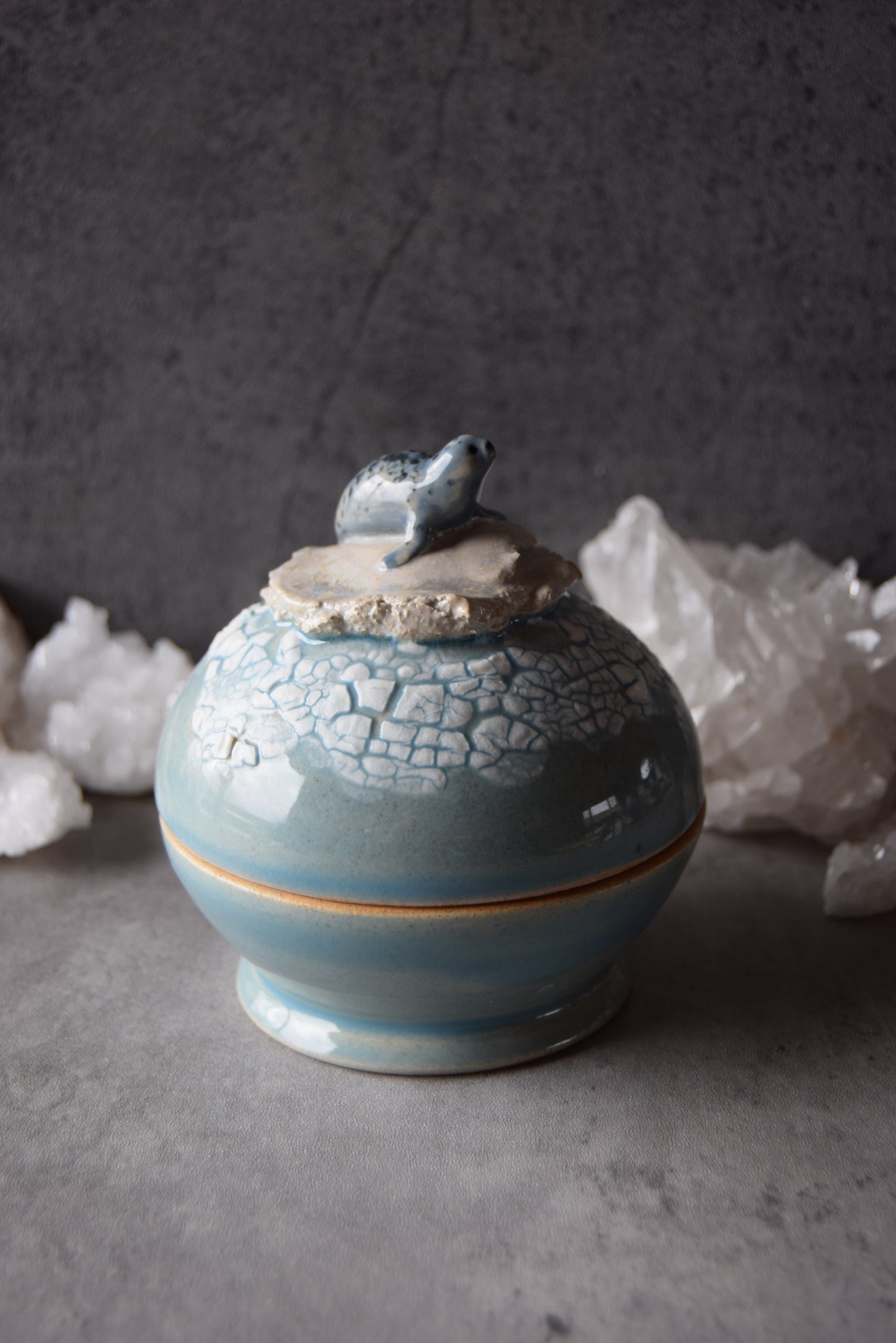 Seal and Orcas Jar (seconds)