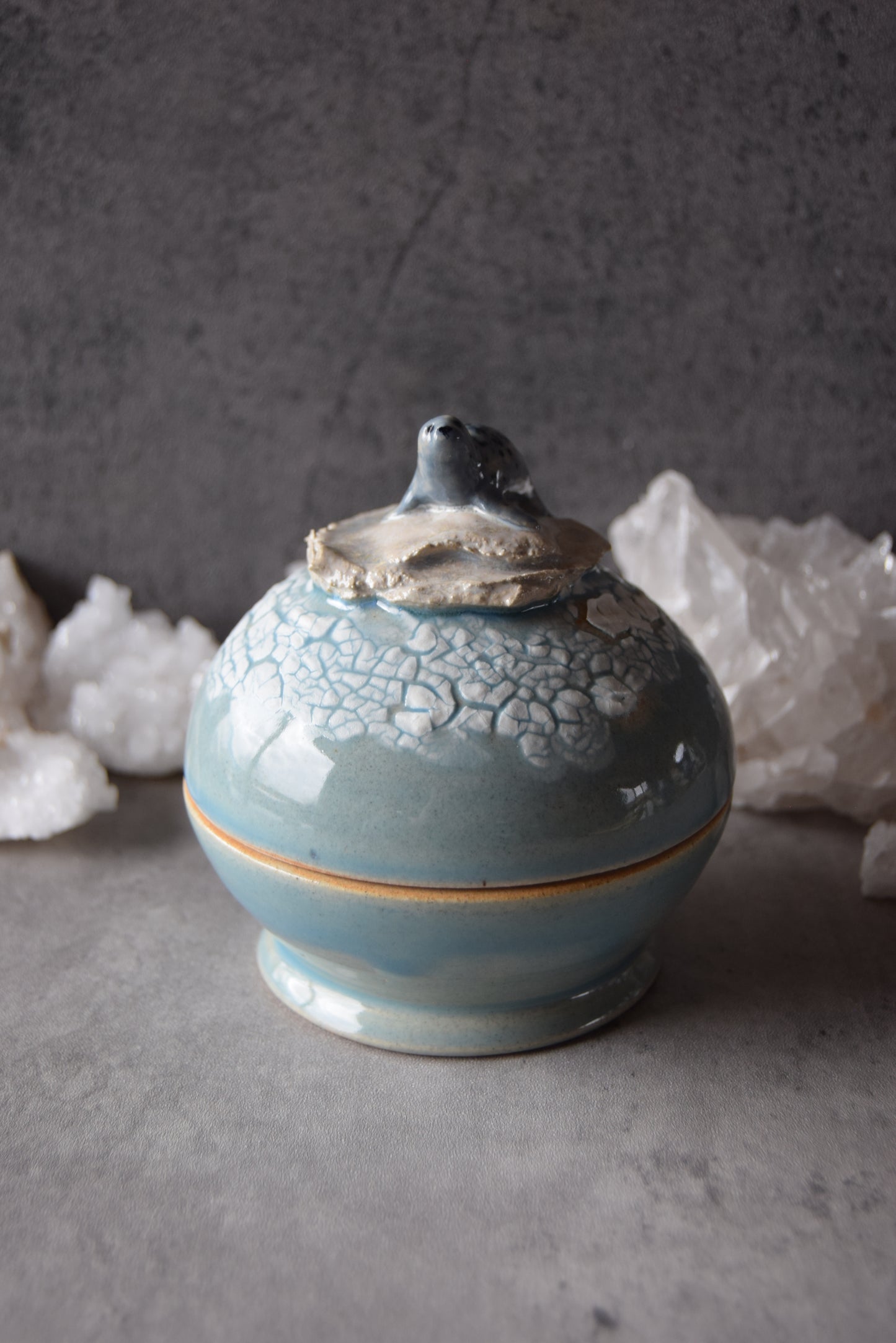 Seal and Orcas Jar (seconds)