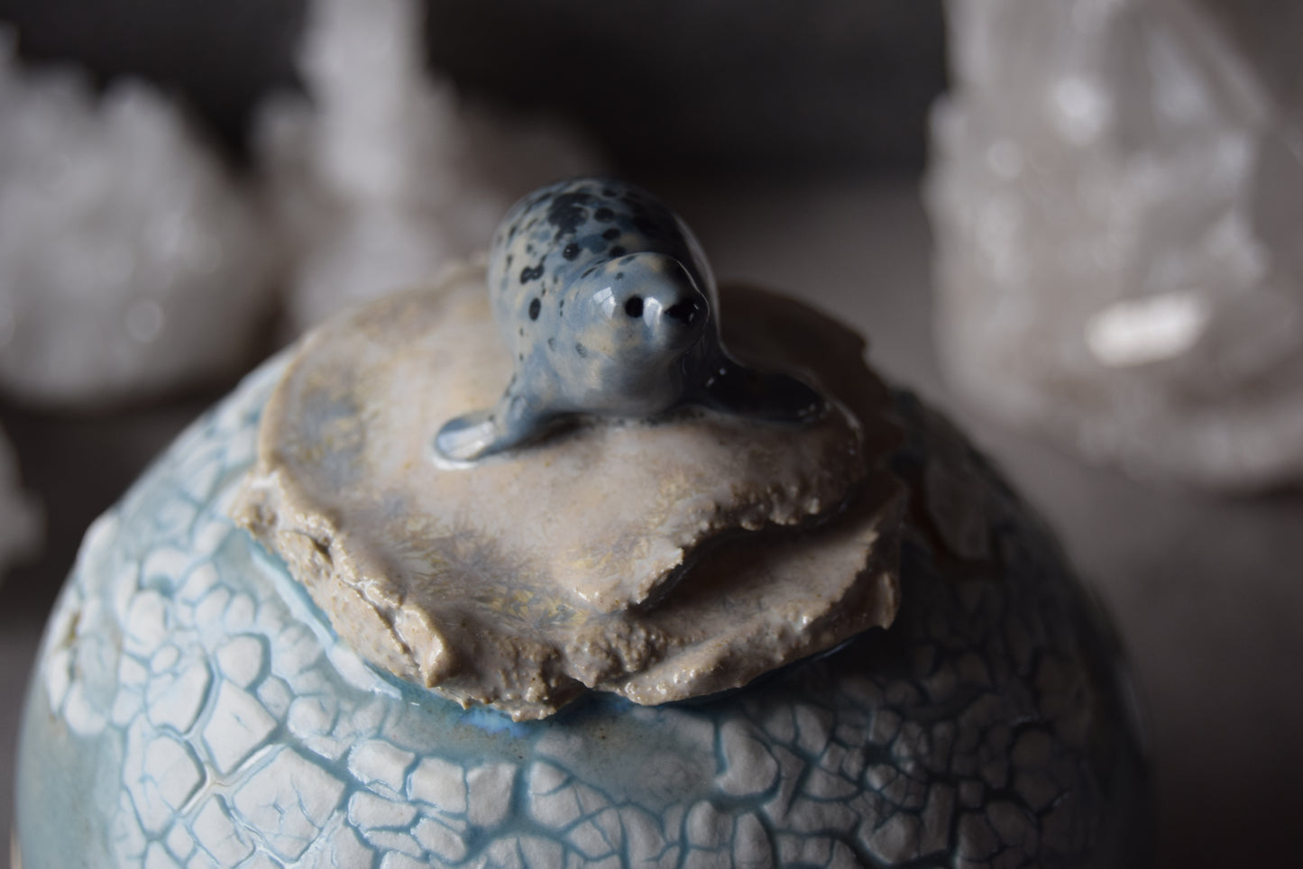 Seal and Orcas Jar (seconds)