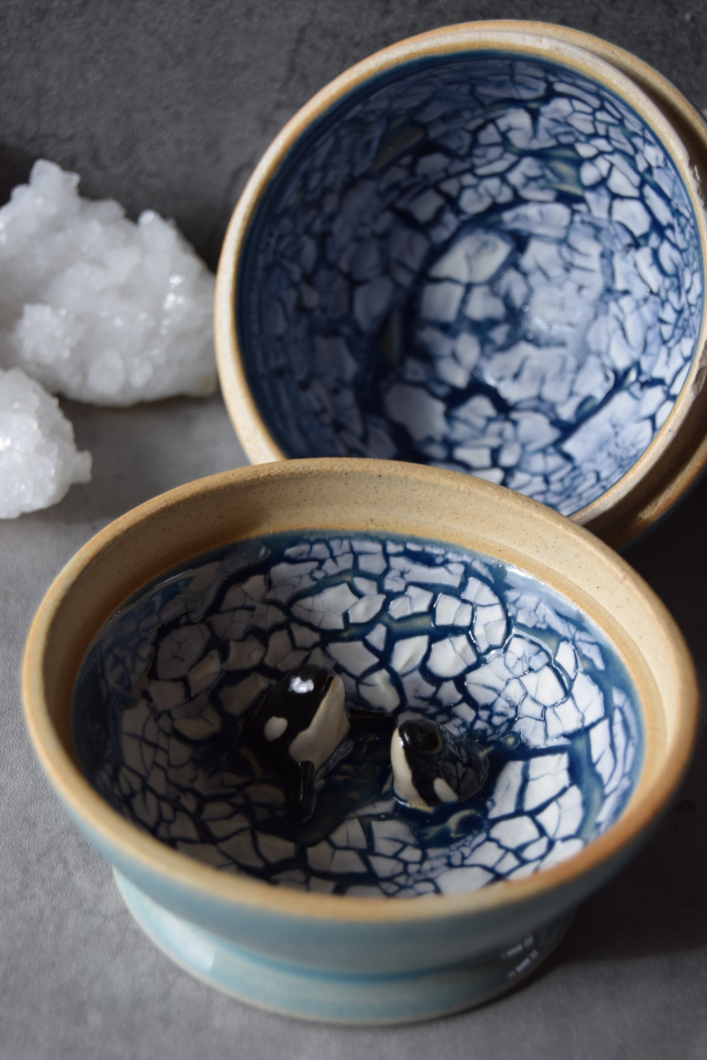 Seal and Orcas Jar (seconds)