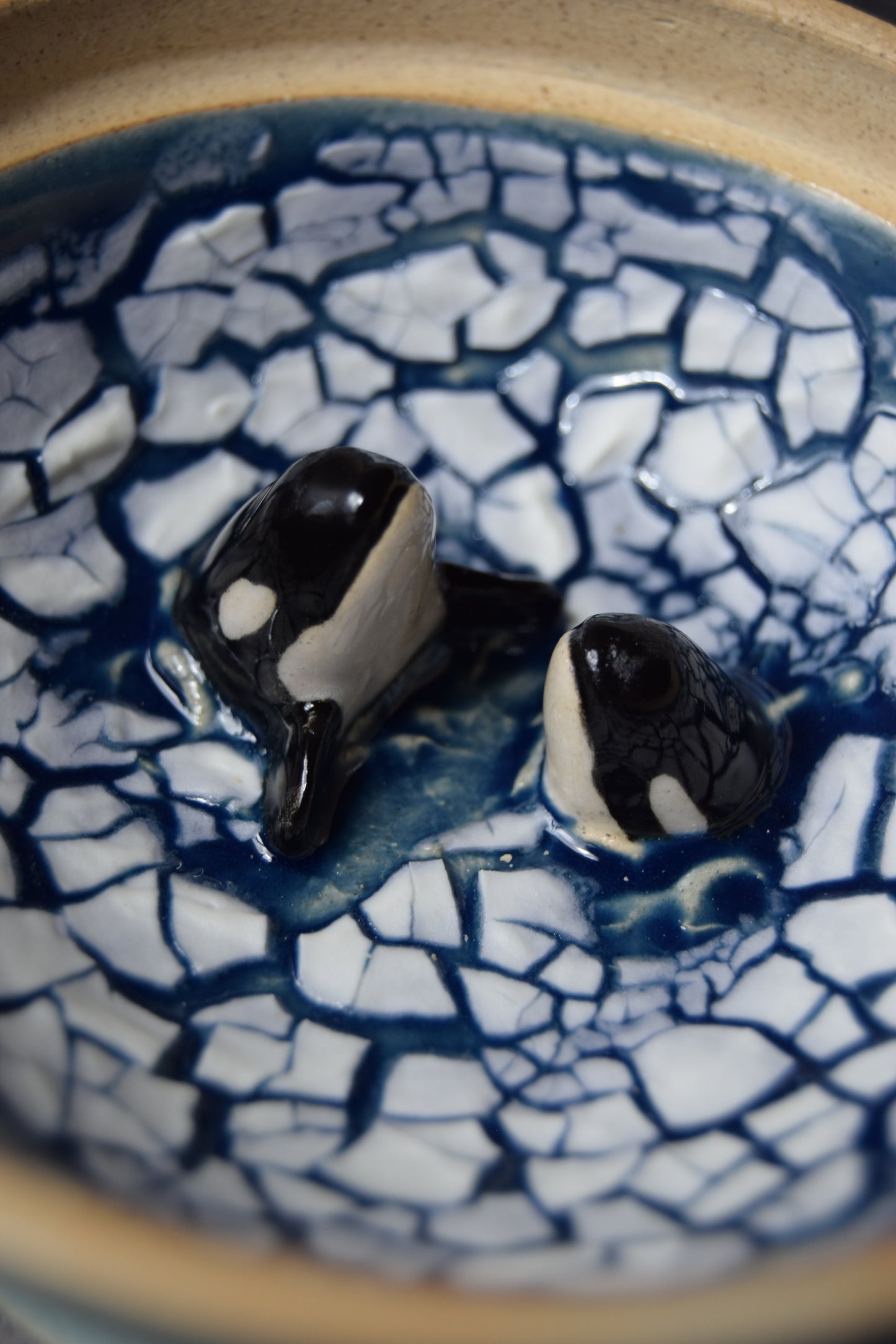 Seal and Orcas Jar (seconds)