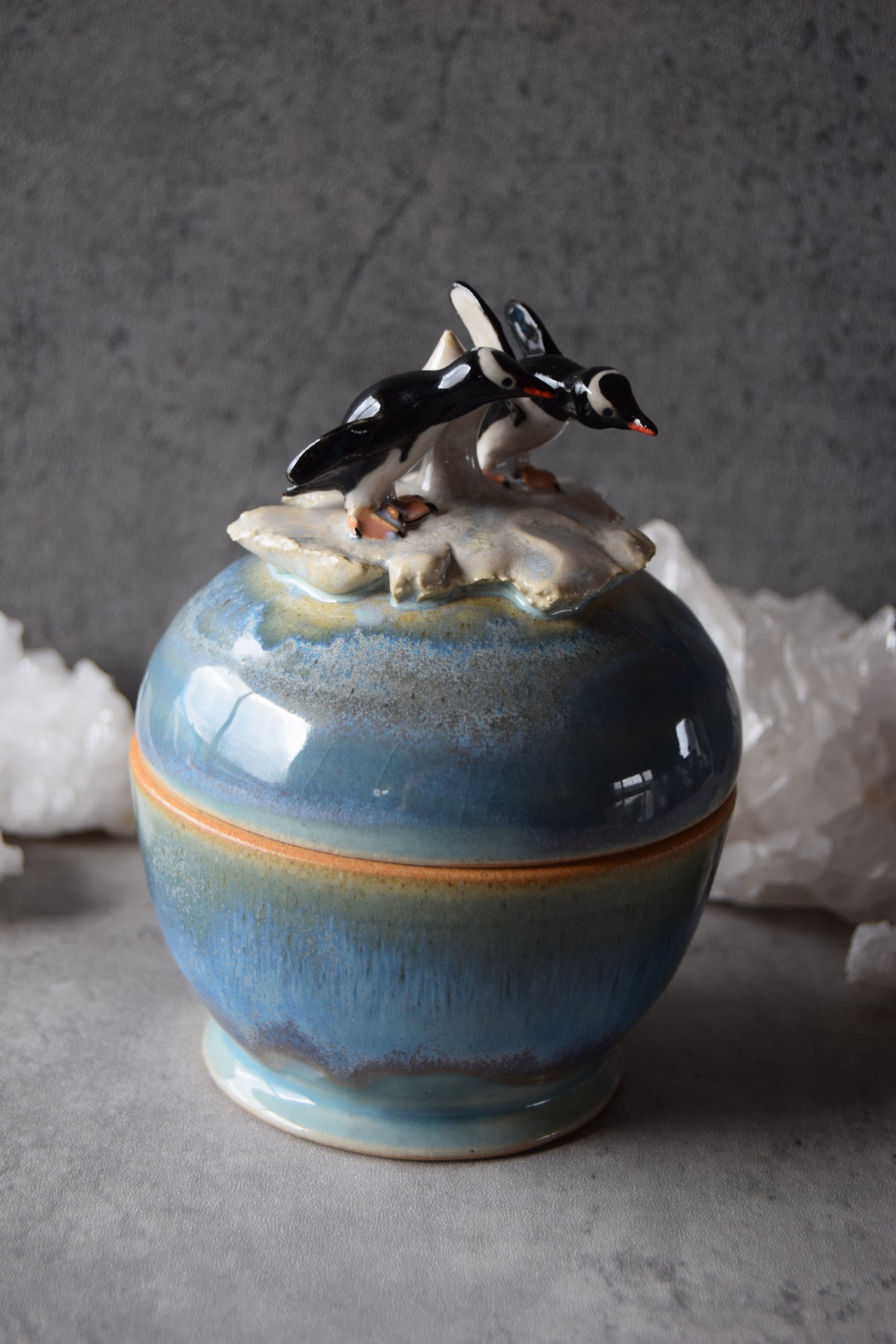 Gentoo Penguins Jar