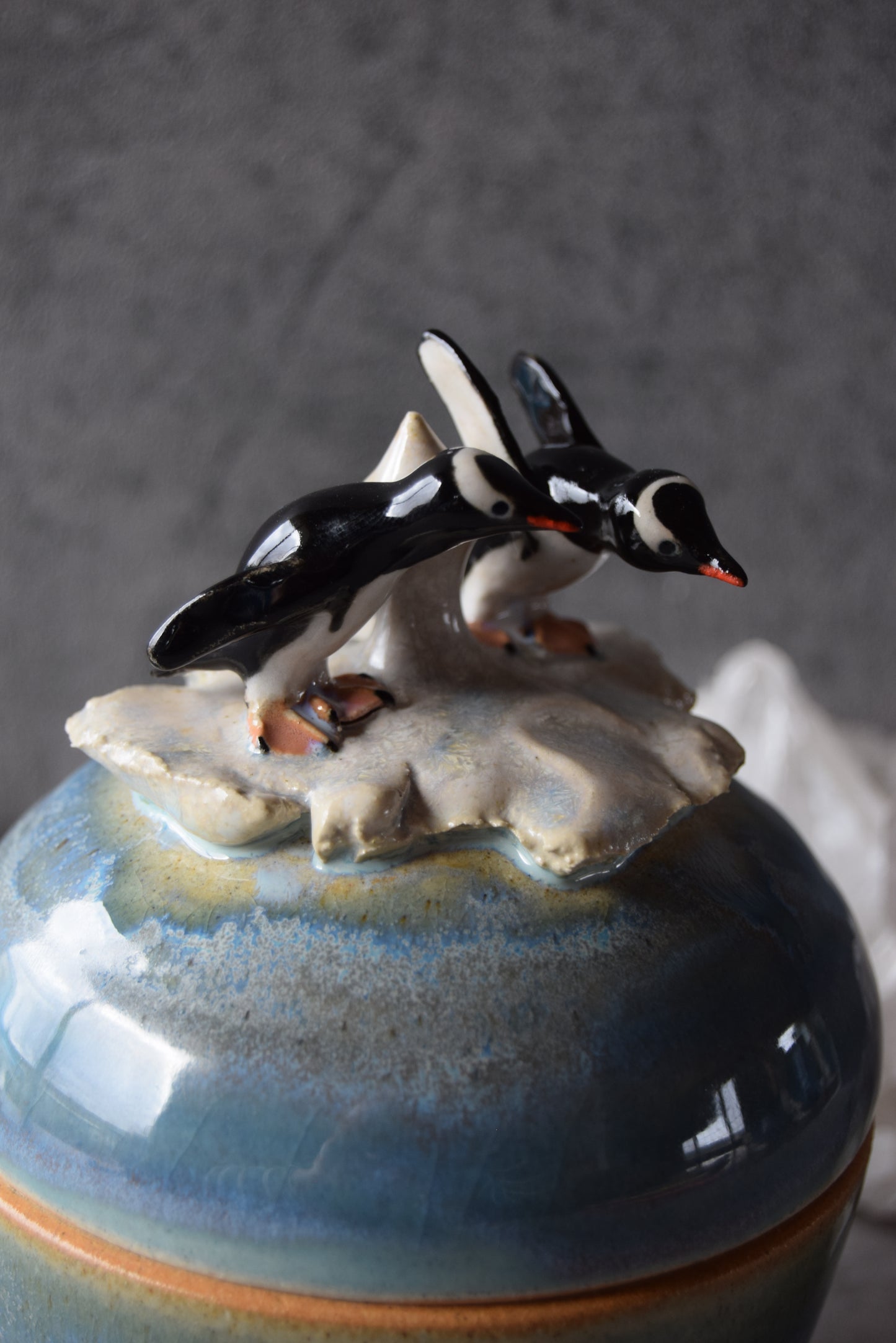 Gentoo Penguins Jar