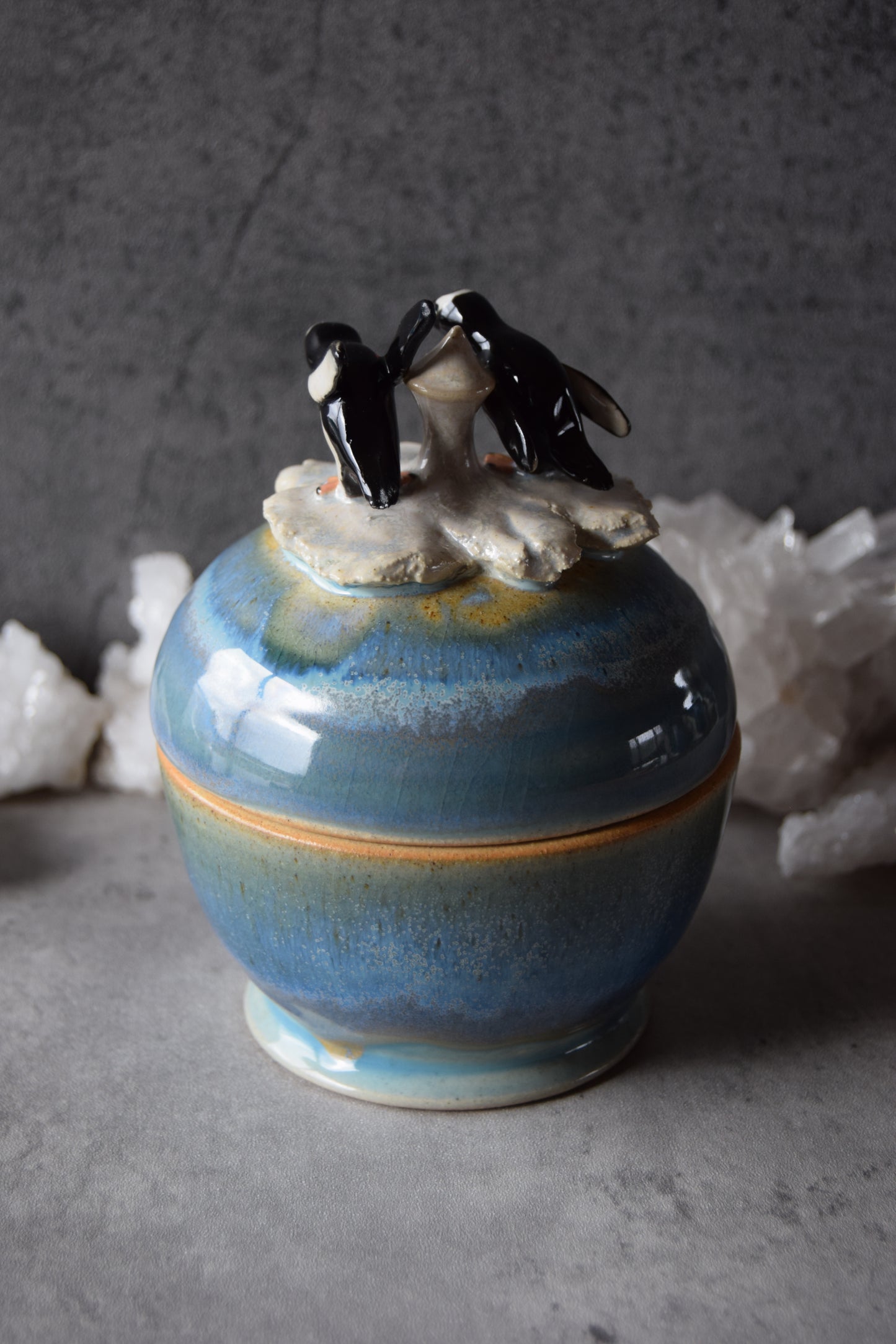 Gentoo Penguins Jar
