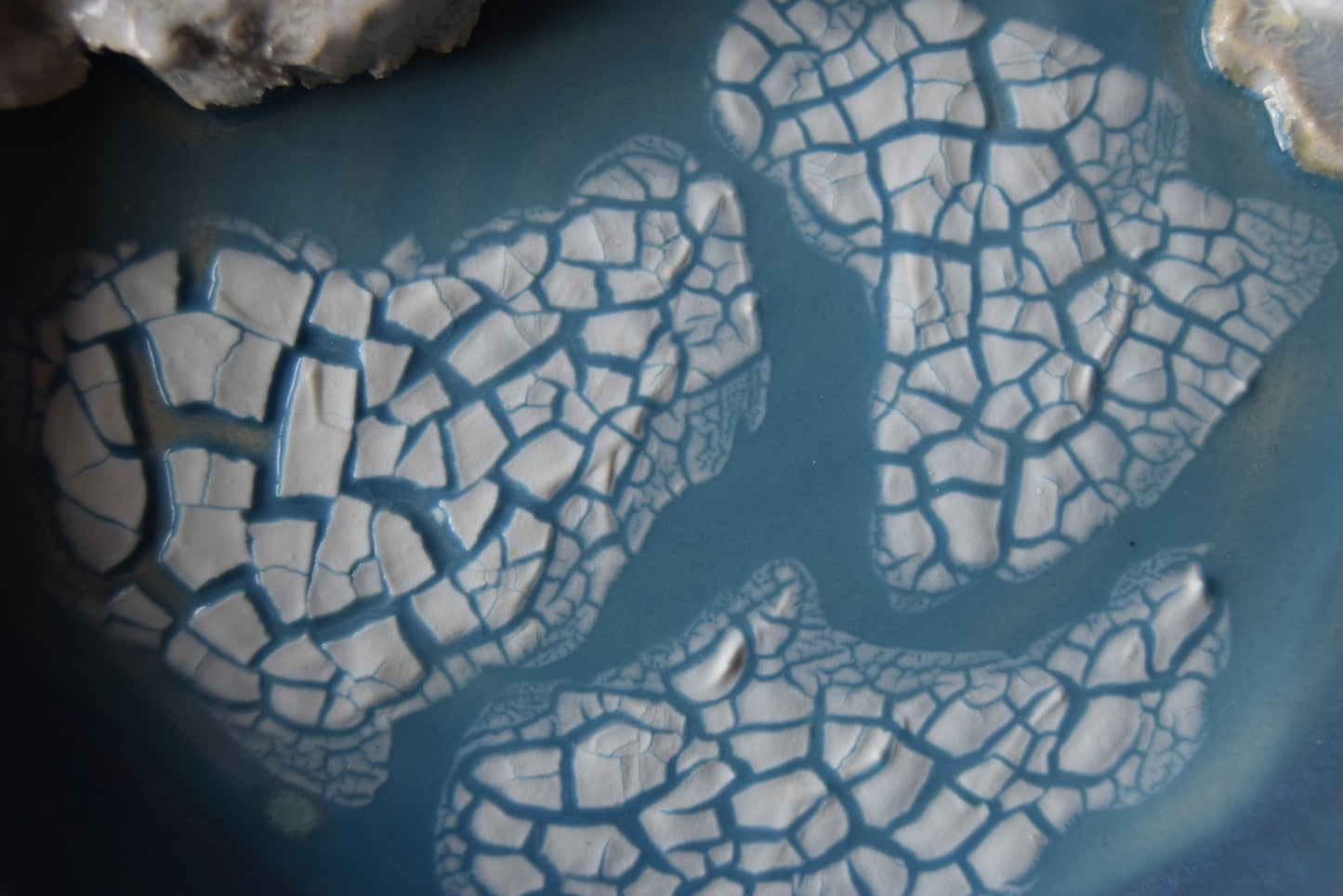 Polar Bear and Seal Plate (seconds)