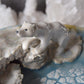 Polar Bear and Seal Plate (seconds)