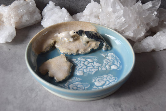 Harp Seals Trinket Plate (light)